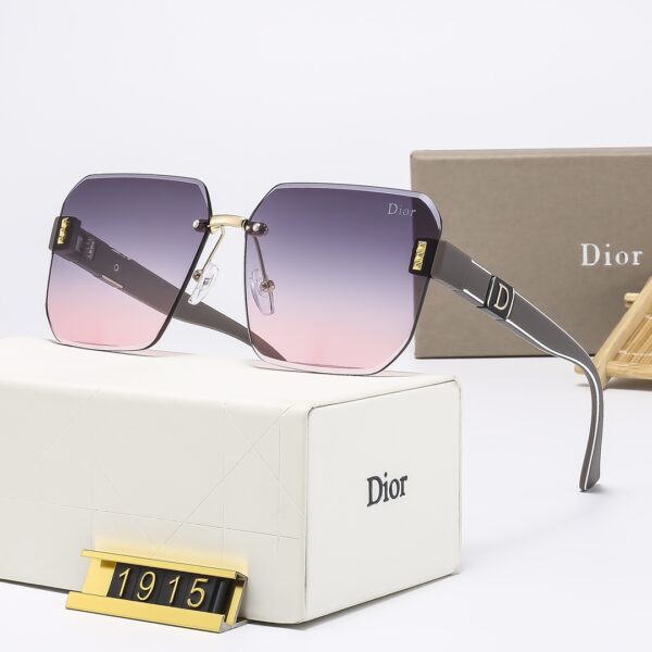 Dior Travel Sunglasses