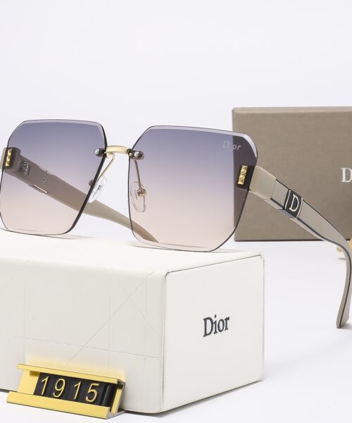 Dior Travel Sunglasses
