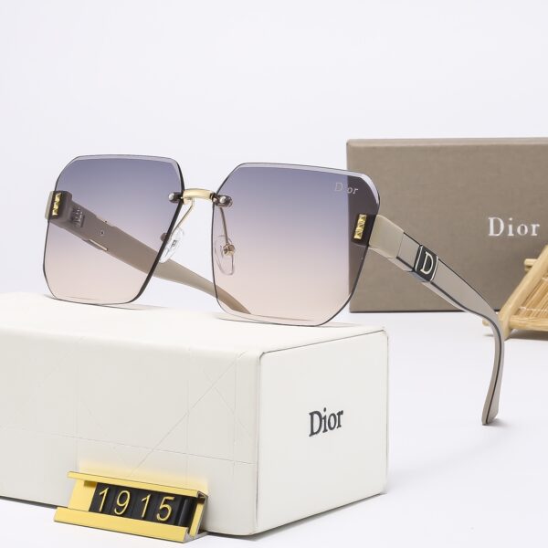 Dior Travel Sunglasses