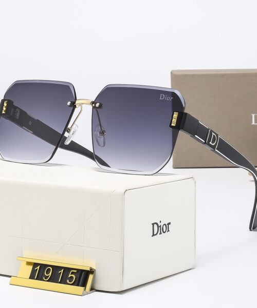 Dior Travel Sunglasses