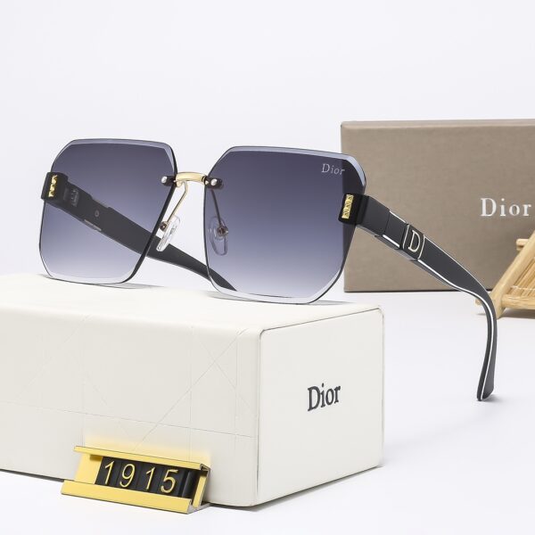 Dior Travel Sunglasses