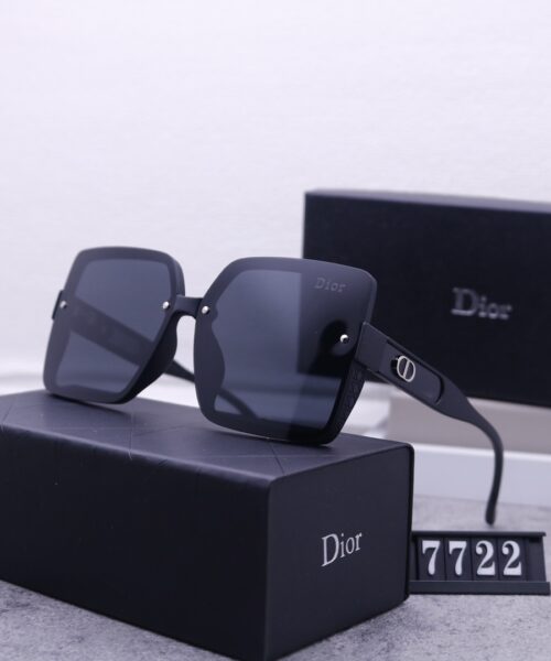 Dior Travel Sunglasses