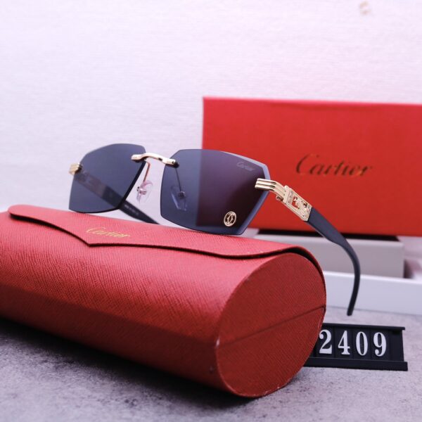 Catier Travel Sunglasses