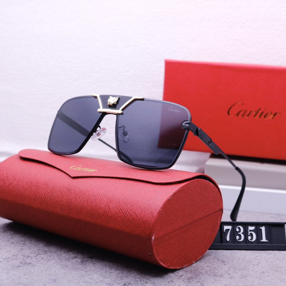 Catier Travel Sunglasses