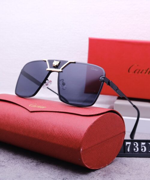 Catier Travel Sunglasses
