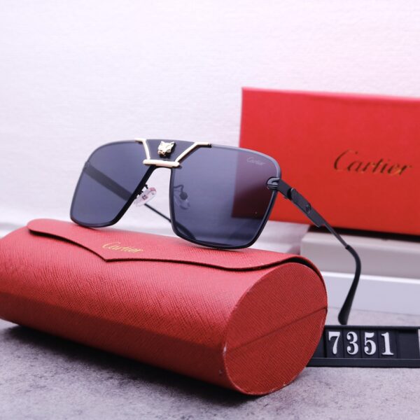 Catier Travel Sunglasses