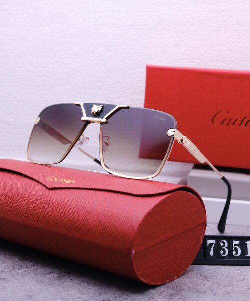 Catier Travel Sunglasses