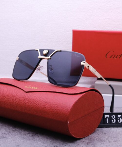 Catier Travel Sunglasses
