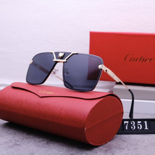 Catier Travel Sunglasses