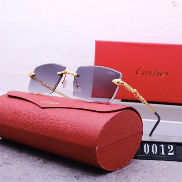 Catier Travel Sunglasses