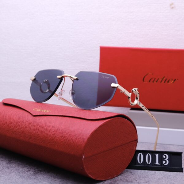 Catier Travel Sunglasses
