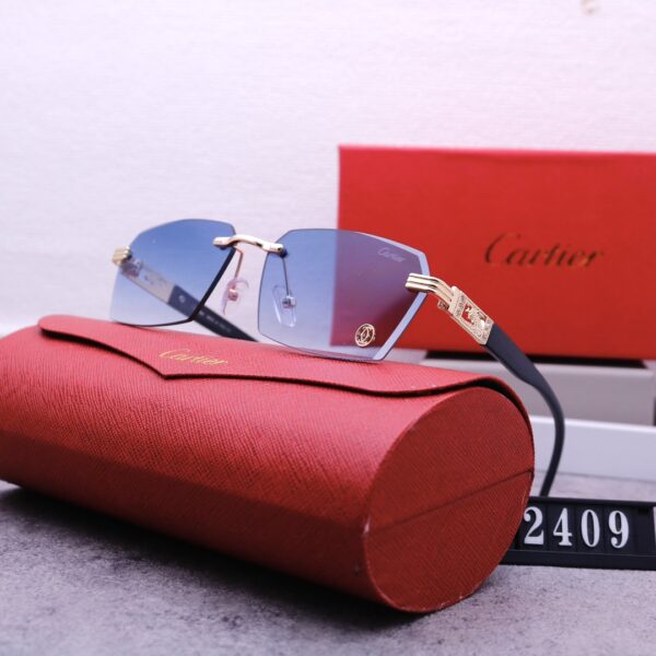Catier Travel Sunglasses