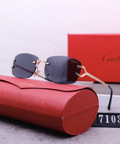 Catier Travel Sunglasses