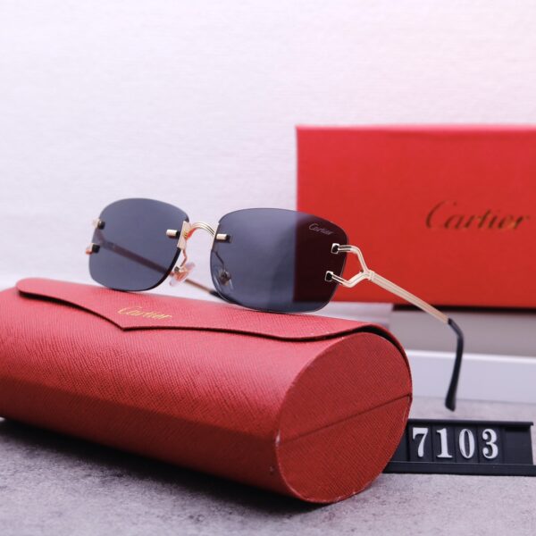 Catier Travel Sunglasses
