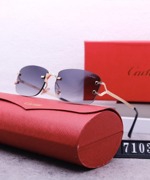 Catier Travel Sunglasses
