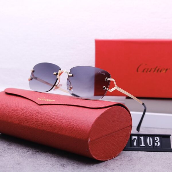 Catier Travel Sunglasses