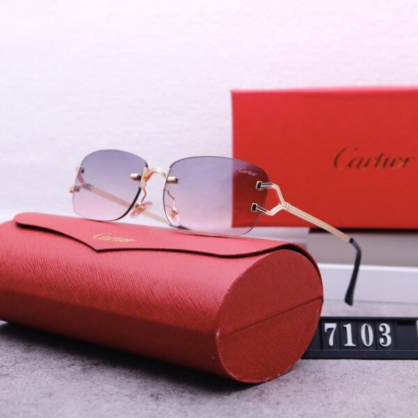 Catier Travel Sunglasses