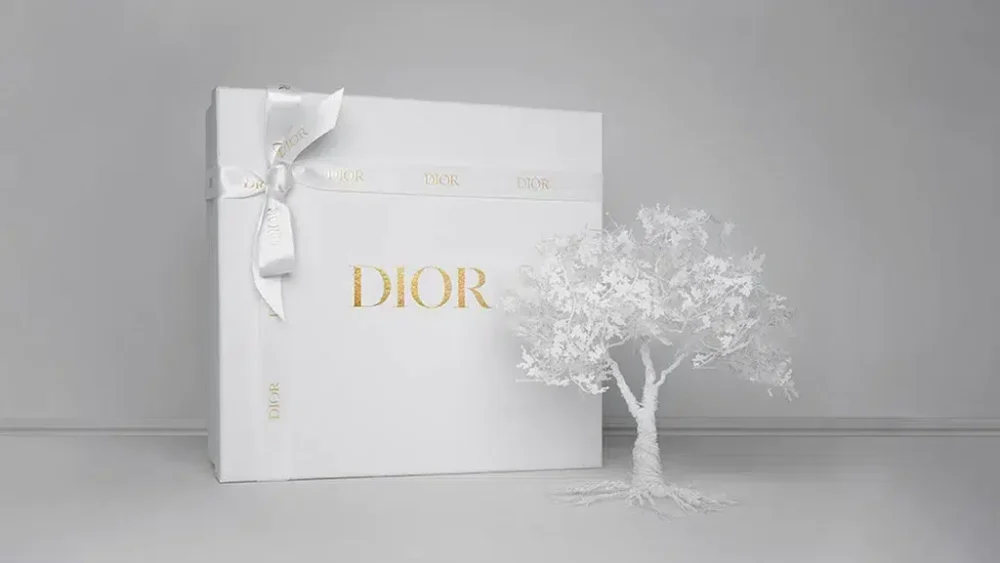 Dior Packaging Box - Perfect for Gifting - Image 2