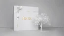 Dior Packaging Box - Perfect for Gifting