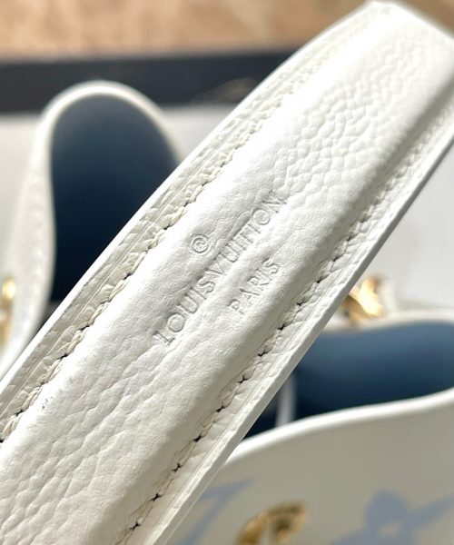 [REP 1:1] Louis Vuitton NéoNóe BB Bucket Unique Bag For Women M45709 - 20cm