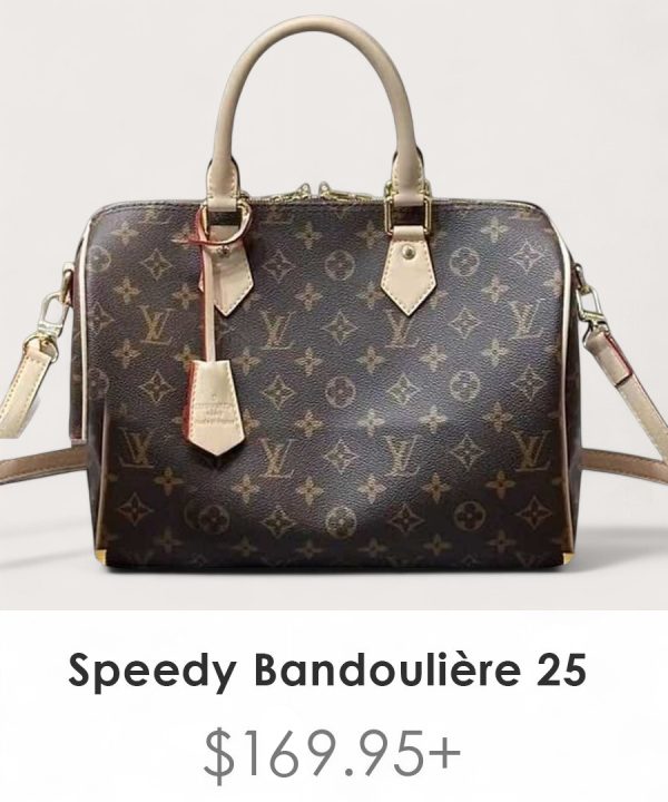 BB-LC366 - Louis Vuitton Big Bag