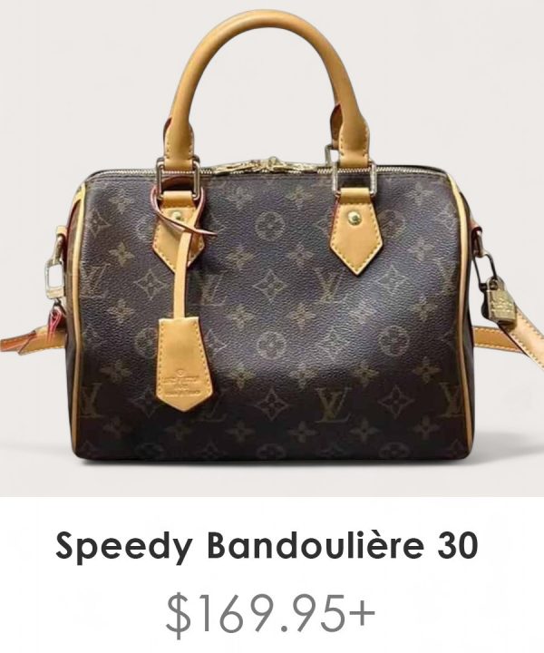 BB-LC367 - Louis Vuitton Big Bag