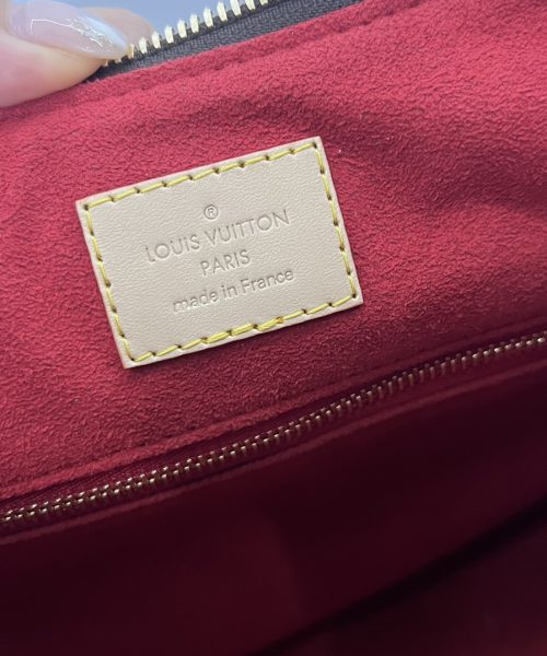LV Slouchy hobo bag