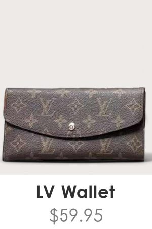 Louis Vuitton Wallet - WL048
