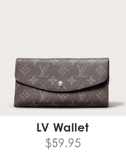 Louis Vuitton Wallet - WL048