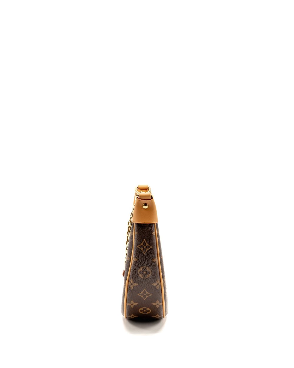 AAA Replica Louis Vuitton LV LOOP BAG MONOGRAM CANVAS GHW