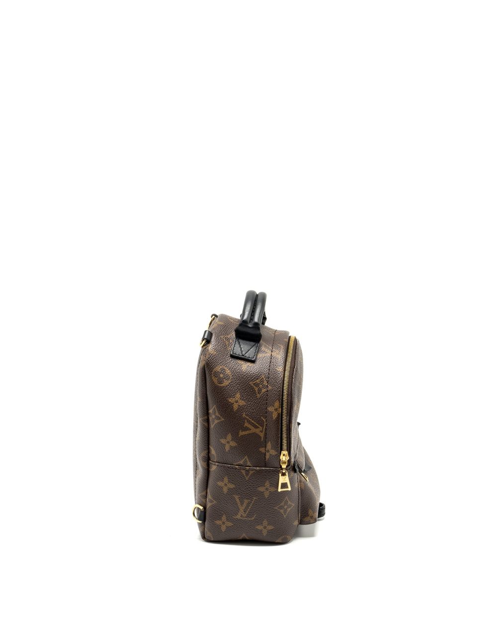 AAA Replica Louis Vuitton LV MINI PALM SPRING BACKPACK MONOGRAM CANVAS GHW