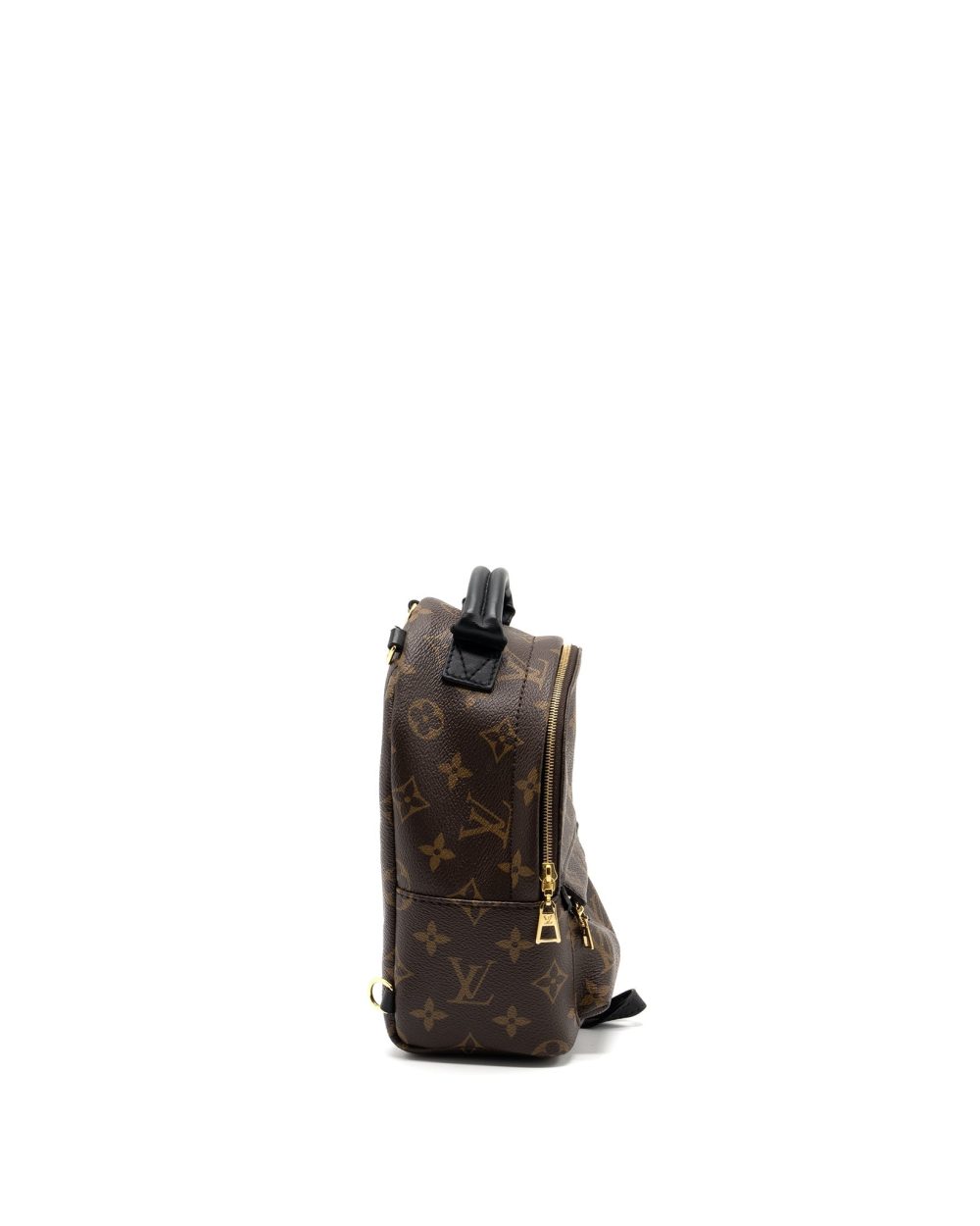 AAA Replica Louis Vuitton LV MINI PALM SPRING BACKPACK MONOGRAM CANVAS GHW