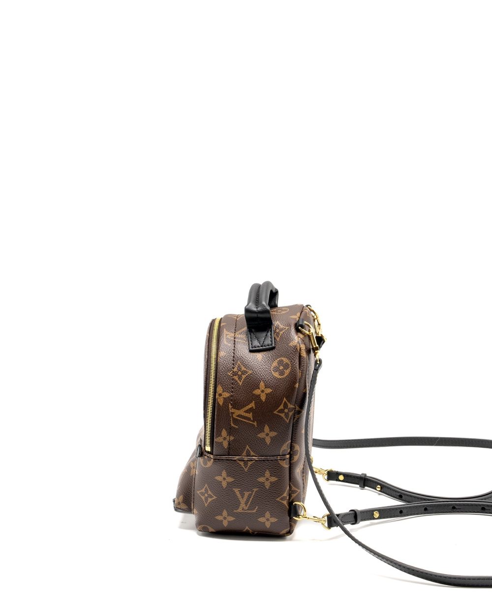 AAA Replica Louis Vuitton LV MINI PALM SPRING BACKPACK MONOGRAM CANVAS GHW