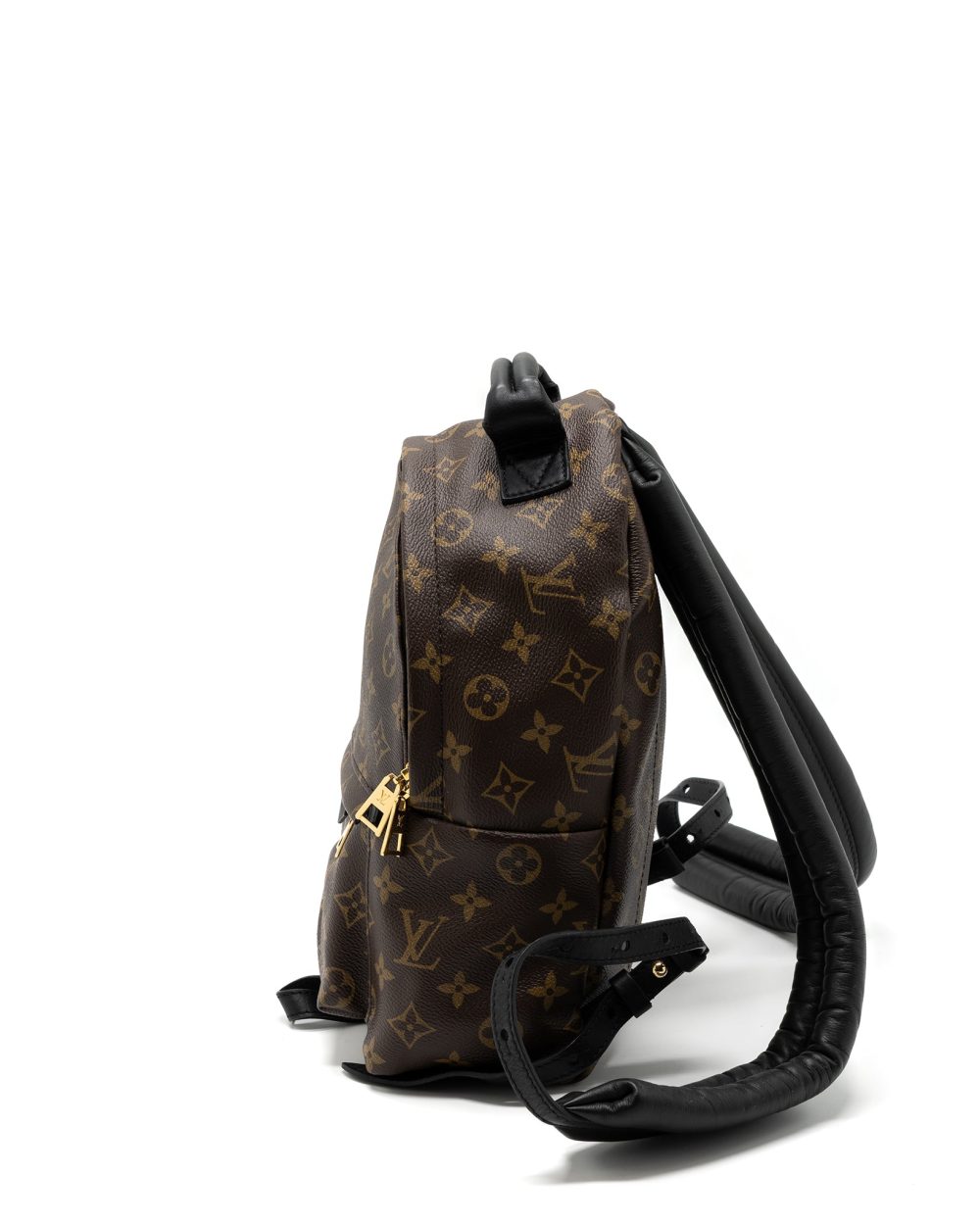 AAA Replica Louis Vuitton LV PALM SPRING BACKPACK PM MONOGRAM CANVAS GHW