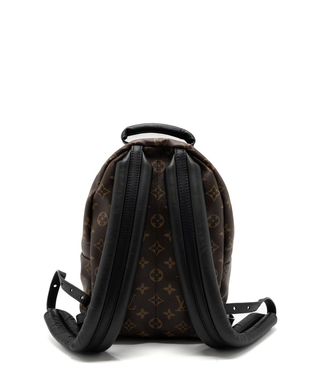 AAA Replica Louis Vuitton LV PALM SPRING BACKPACK PM MONOGRAM CANVAS GHW