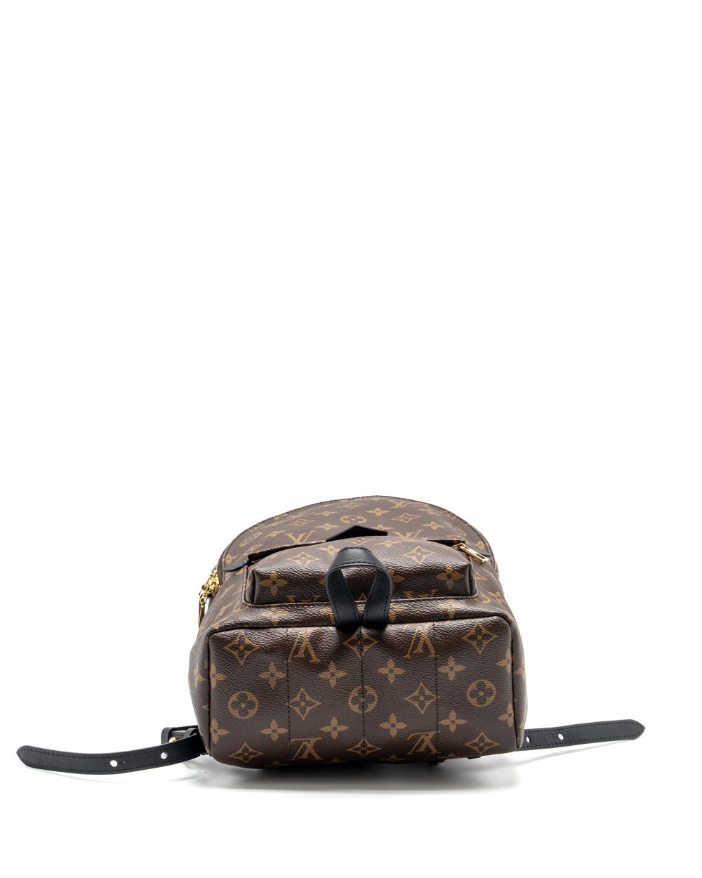 AAA Replica Louis Vuitton LV PALM SPRING PM BACKPACK MONOGRAM CANVAS GHW
