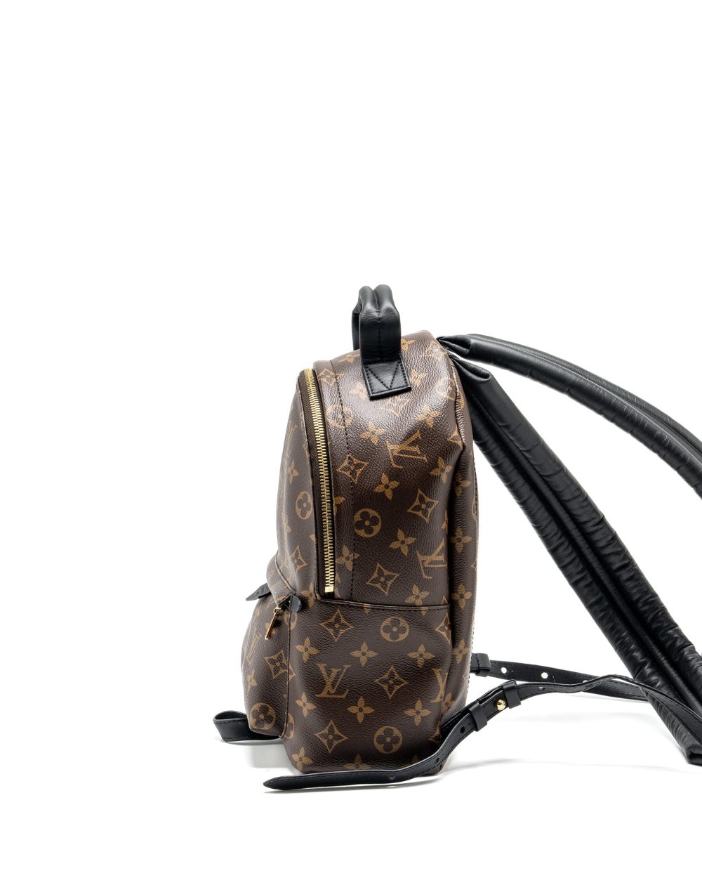 AAA Replica Louis Vuitton LV PALM SPRING PM BACKPACK MONOGRAM CANVAS GHW