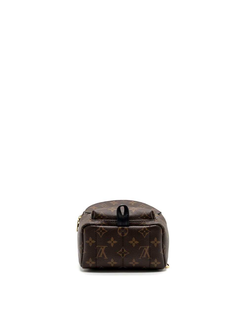 AAA Replica Louis Vuitton LV MINI PALM SPRING BACKPACK MONOGRAM CANVAS GHW