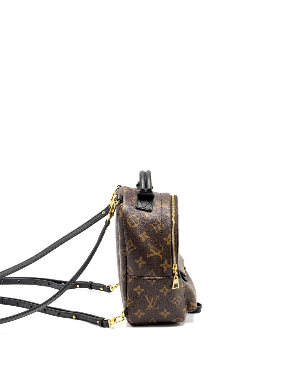 AAA Replica Louis Vuitton LV MINI PALM SPRING BACKPACK MONOGRAM CANVAS GHW
