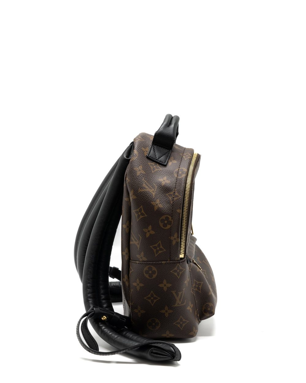 AAA Replica Louis Vuitton LV PALM SPRING BACKPACK PM MONOGRAM CANVAS GHW