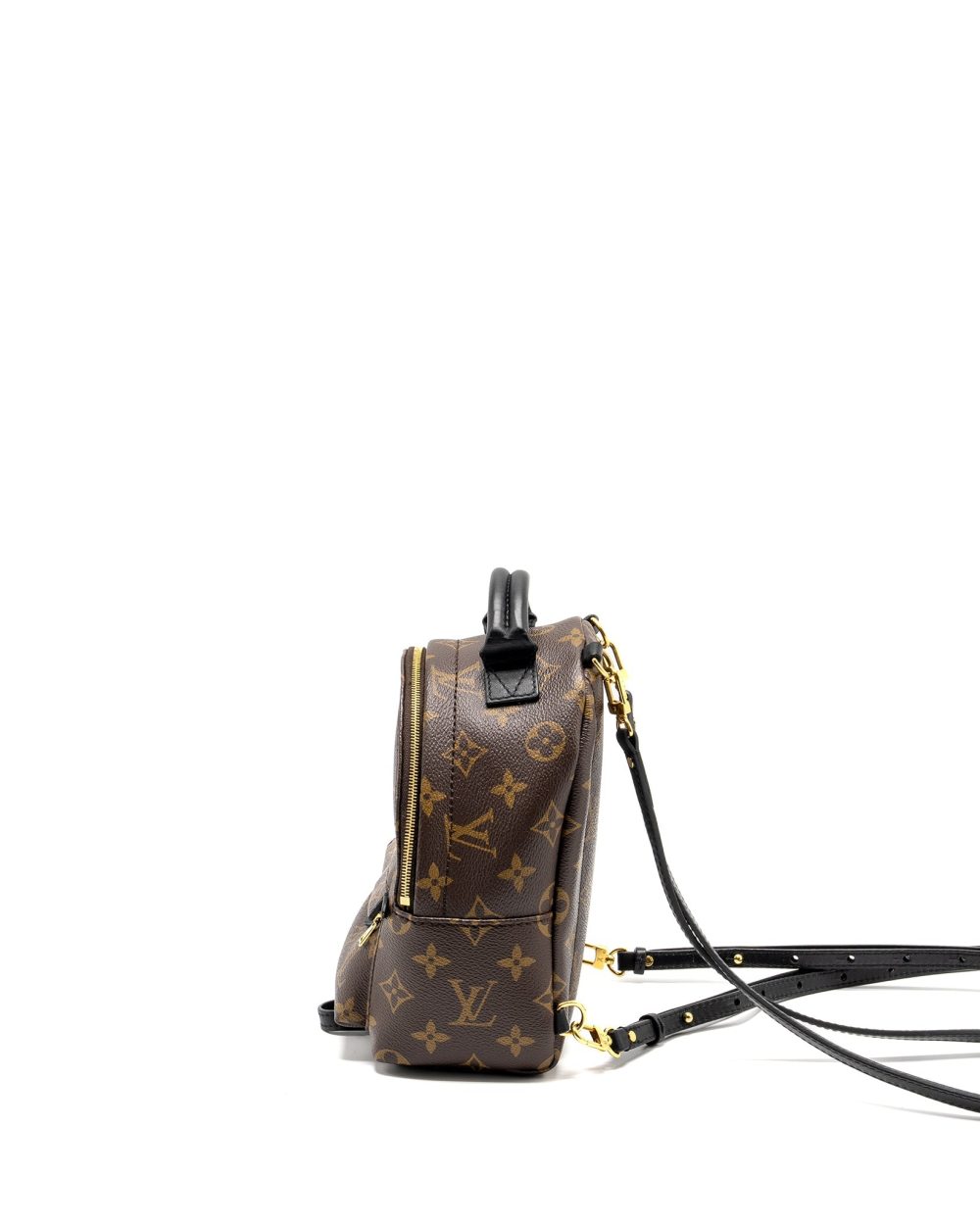 AAA Replica Louis Vuitton LV MINI PALM SPRING BACKPACK MONOGRAM CANVAS GHW