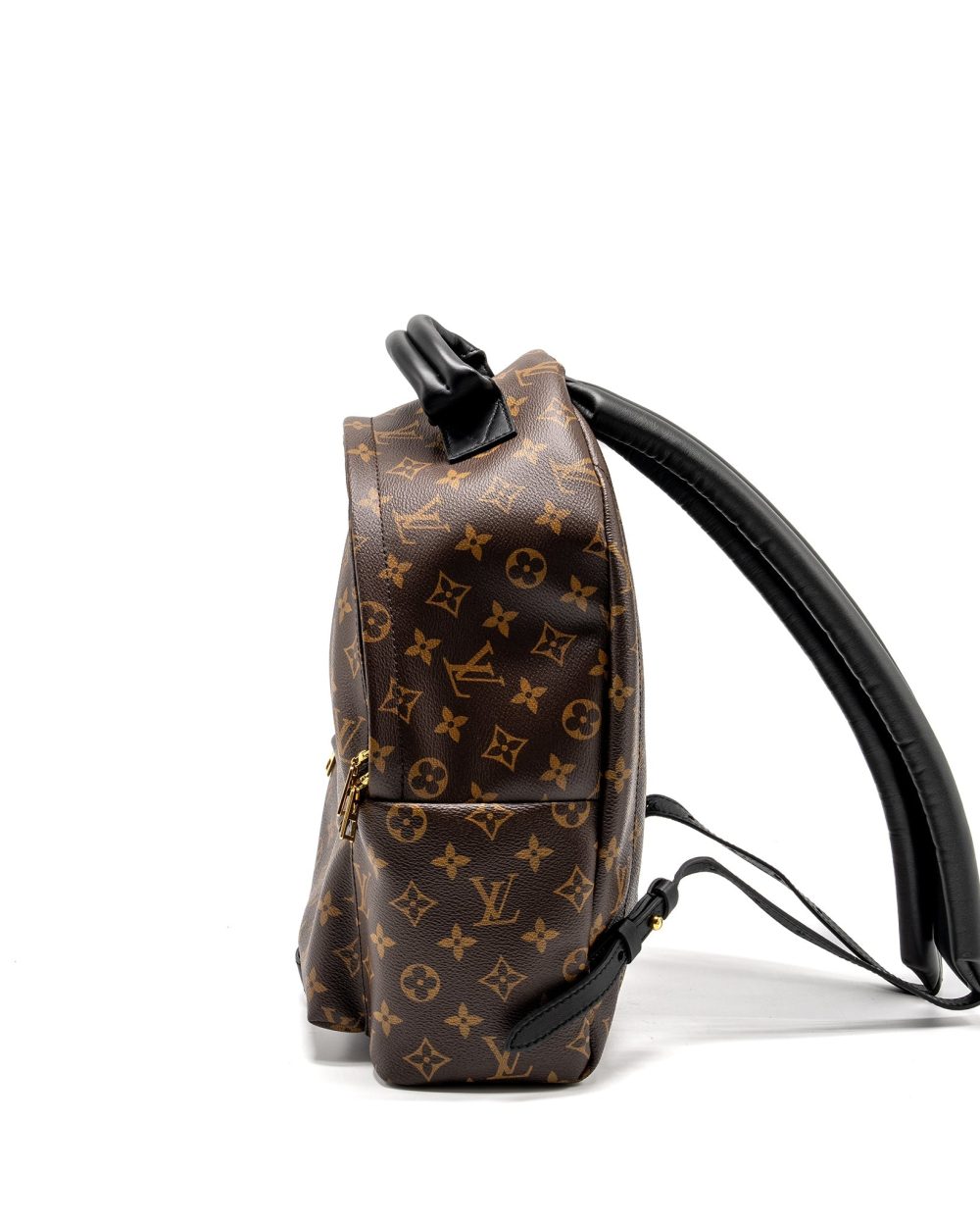 AAA Replica Louis Vuitton LV PALM SPRING BACKPACK MM MONOGRAM CANVAS