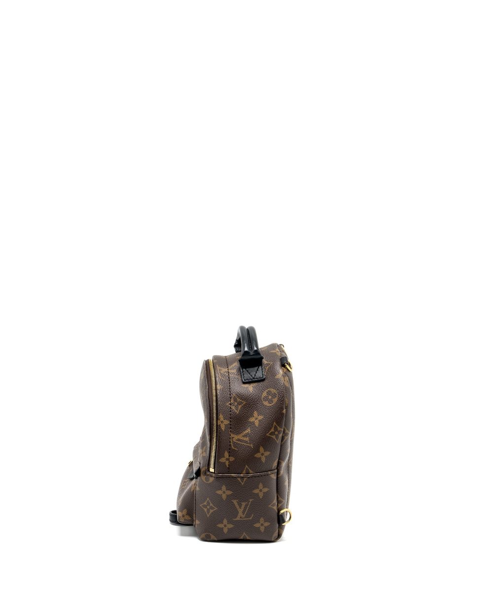 AAA Replica Louis Vuitton LV MINI PALM SPRING BACKPACK MONOGRAM CANVAS GHW