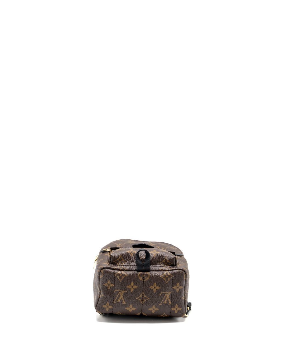 AAA Replica Louis Vuitton LV MINI PALM SPRING BACKPACK MONOGRAM CANVAS GHW