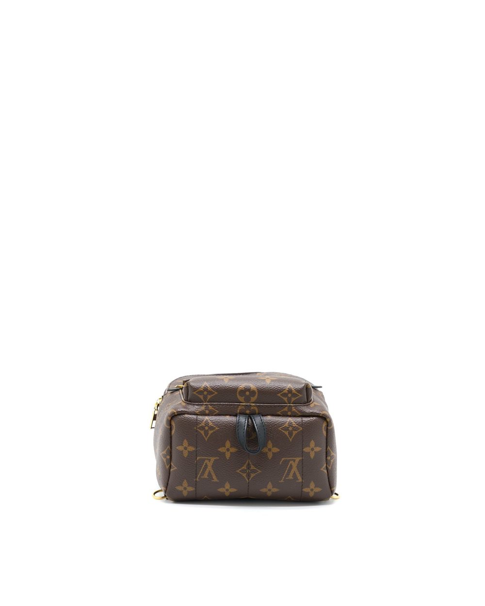 AAA Replica Louis Vuitton LV PALM SPRING MINI BACKPACK MONOGRAM CANVAS(NEW VERSION ZIPPER)