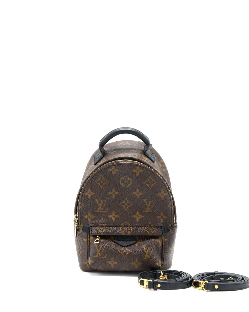 AAA Replica Louis Vuitton LV MINI PALM SPRING BACKPACK MONOGRAM CANVAS GHW