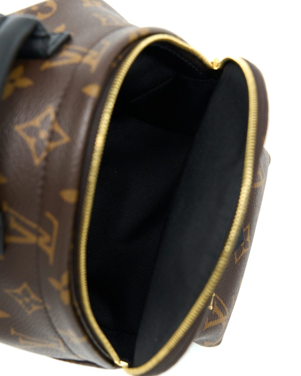 AAA Replica Louis Vuitton LV PALM SPRING MINI BACKPACK MONOGRAM CANVAS(NEW VERSION ZIPPER)