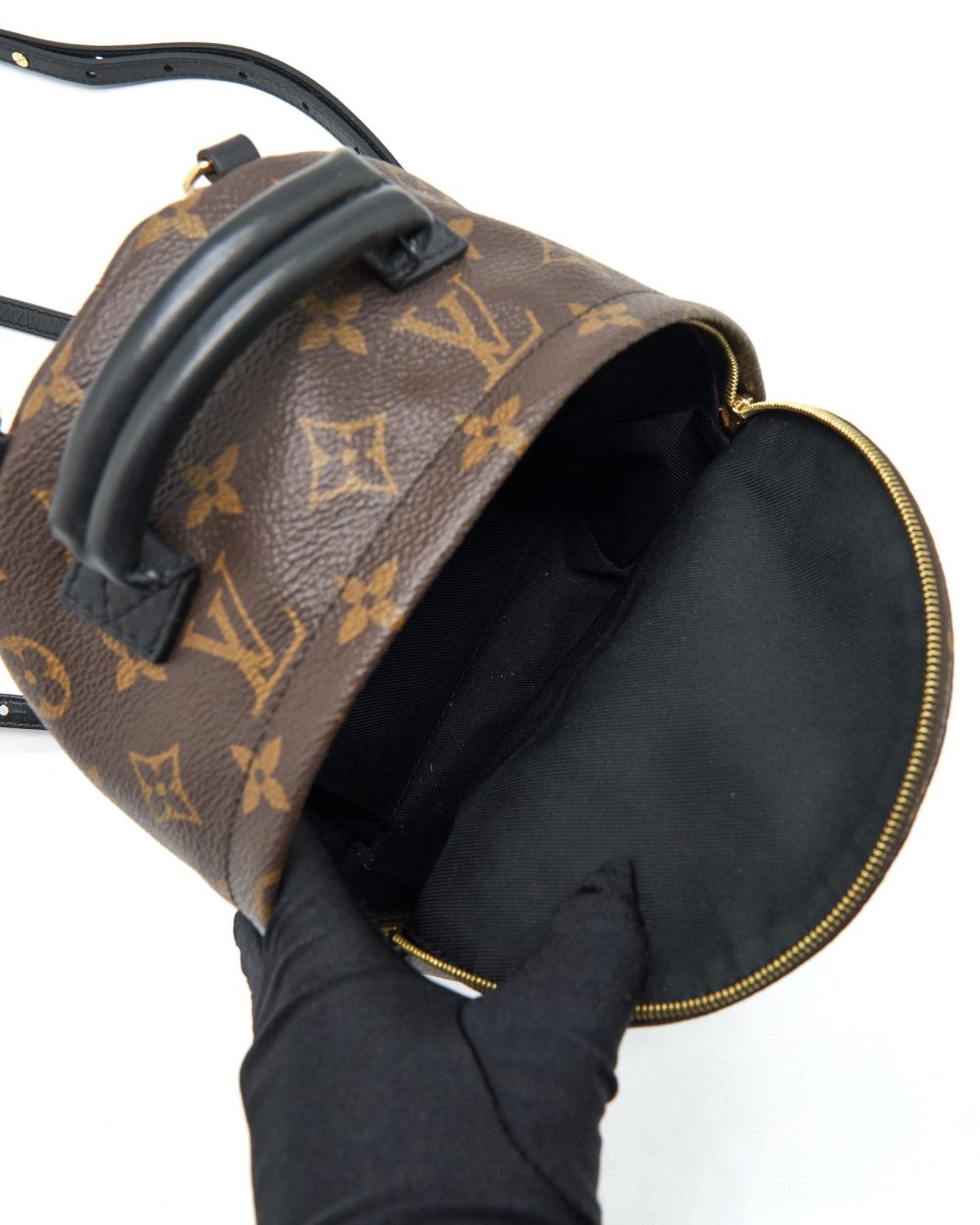 AAA Replica Louis Vuitton LV PALM SPRING MINI BACKPACK MONOGRAM CANVAS YEAR 2018