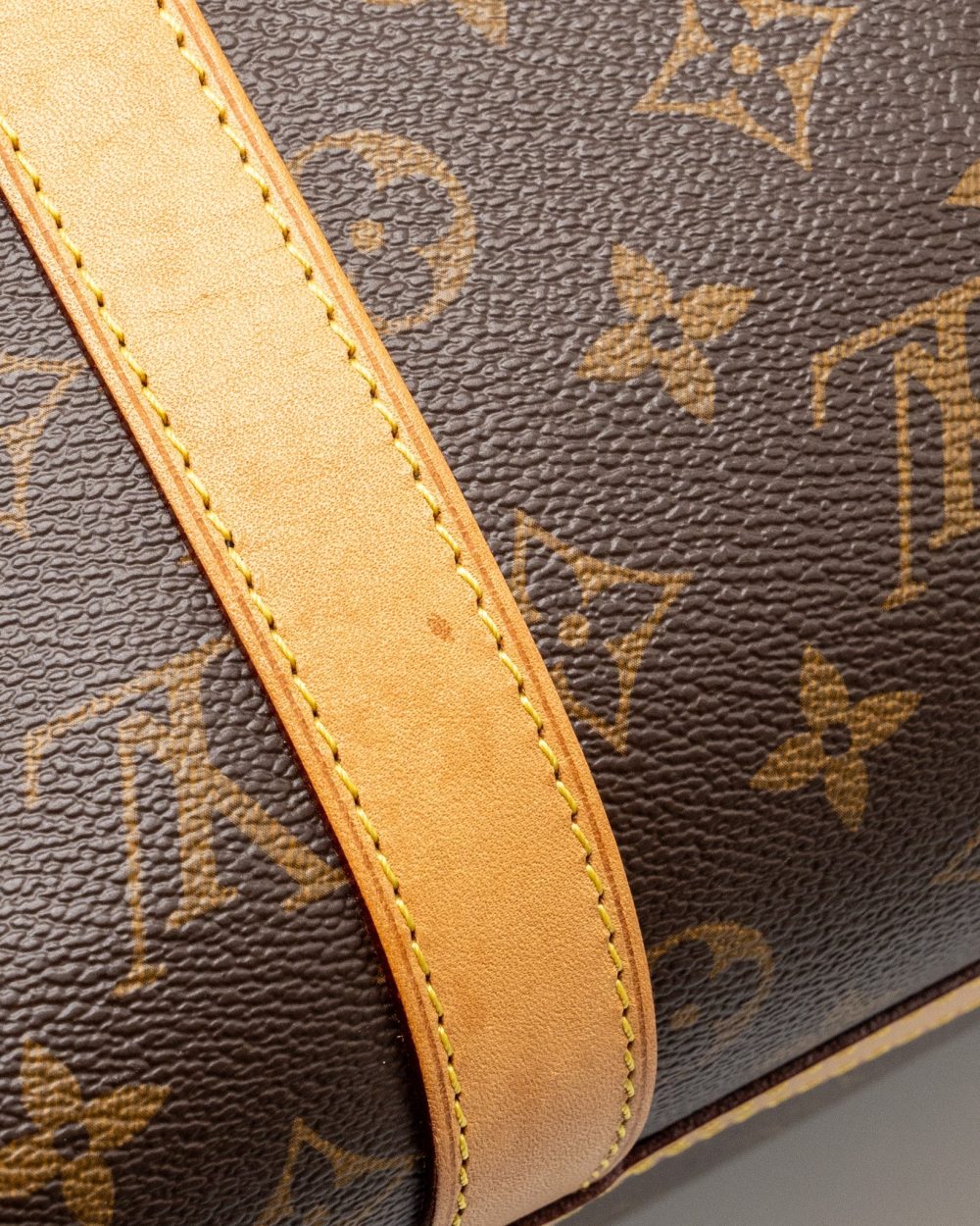 AAA Replica Louis Vuitton LV DOG BAG MONOGRAM CANVAS GHW