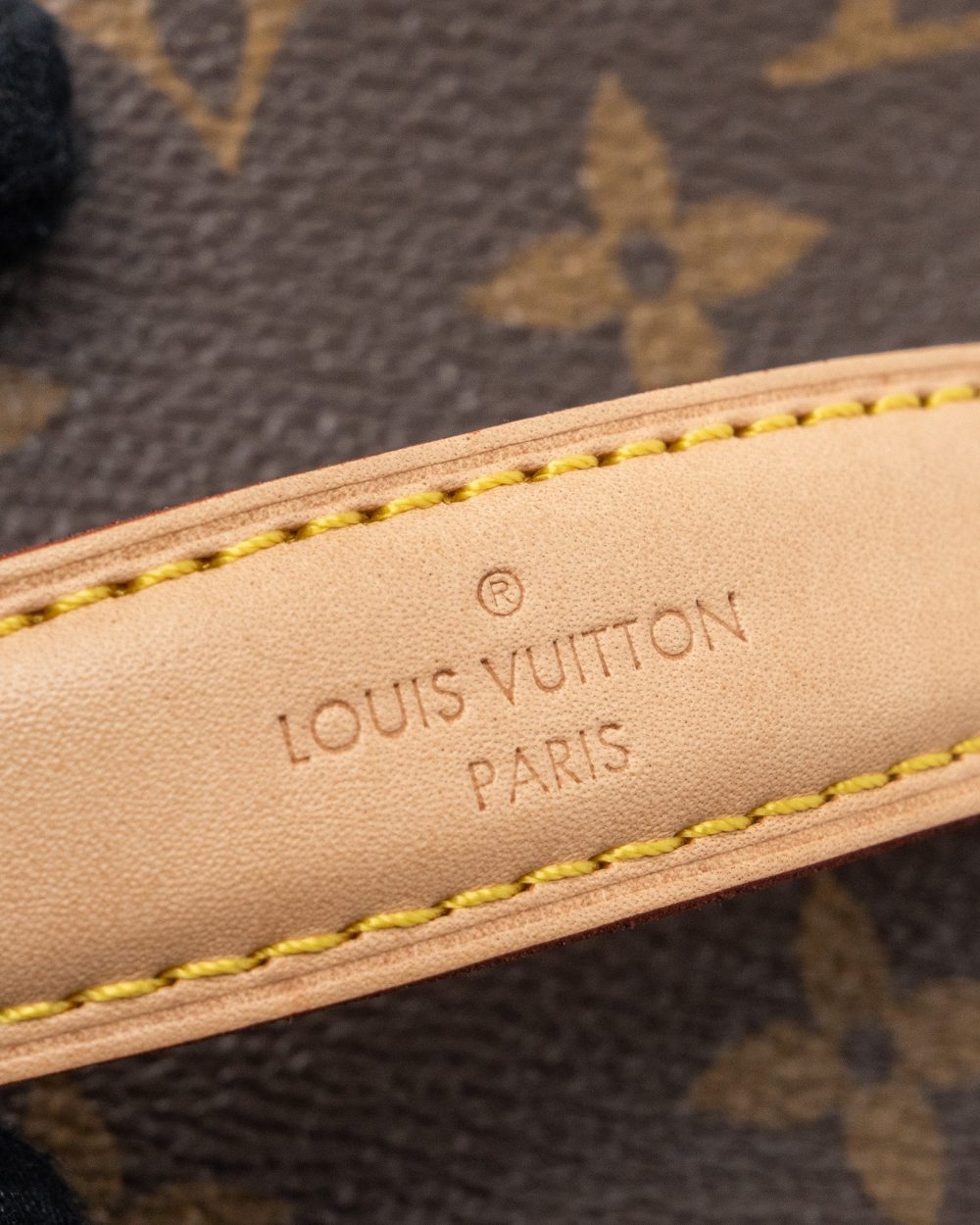 AAA Replica Louis Vuitton LV NICE MINI MONOGRAM CANVAS GHW (NEW VERSION)